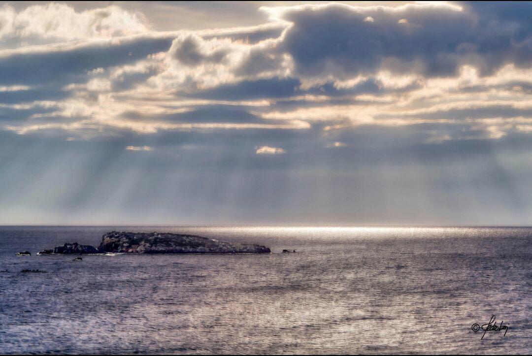 ホテル La Trancada タバルカ島 エクステリア 写真